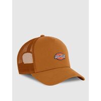 Accessoires Hüte Dickies HANSTON TRUCKER DK0A4YV3-0BD1 DARK BROWN Braun