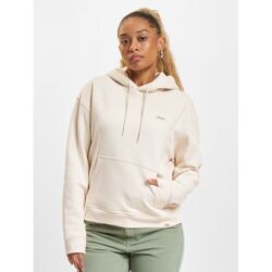 Kleidung Damen Sweatshirts Dickies CLANCY HD W - DK0A4Z2W-F901 Grau