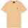 Kleidung Herren T-Shirts Lyle & Scott TS400VOG Beige