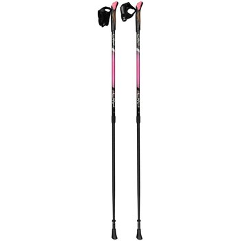Accessoires Sportzubehör Cmp Sport NORDIC WALKING POLES MANIVA 3B35997/37UL Grau
