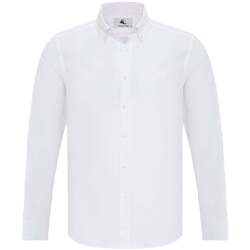 Kleidung Herren Langärmelige Hemden Williot Dallas Regular Fit Button-Down Collar Shirt Weiss