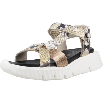 Schuhe Damen Sandalen / Sandaletten Cetti C1316SRA Multicolor