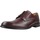 Schuhe Herren Derby-Schuhe & Richelieu Clarks CLARKSPRO LACE Braun