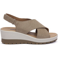 Schuhe Damen Sandalen / Sandaletten IgI&CO CLAIRE CHAMPAGNE Beige