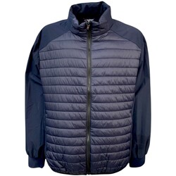 Kleidung Herren Daunenjacken Max Fort GOBLIN Blau