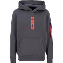 Kleidung Herren Sweatshirts Alpha Industries Alpha Puff Print Hoodie - vintage grey Grau