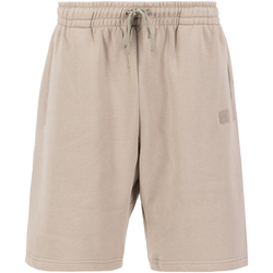 Kleidung Herren Shorts / Bermudas Alpha Alpha Essentials RL Shorts - vintage sand Beige