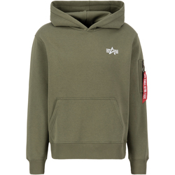 Kleidung Herren Sweatshirts Alpha Signature BP Hoodie - sage-green Grün