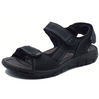 Schuhe Herren Sandalen / Sandaletten IgI&CO 7645000 Nabuk Ingrassato Schwarz