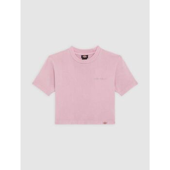 Dickies  T-Shirts & Poloshirts PLENTYWOOD TEE - DK0A866FK391-LILAS günstig online kaufen