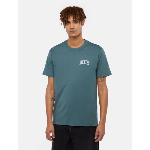 Kleidung Herren T-Shirts & Poloshirts Dickies AITKIN CHEST TEE DK0A4Y8O-J951 LICOL GREEN Grün