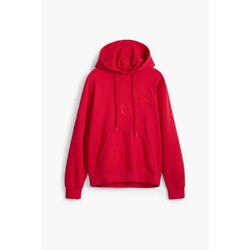 Kleidung Herren Sweatshirts Desigual Sweatshirt à capuche  Nueva Escocia Rot