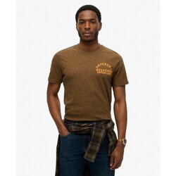 Kleidung Herren T-Shirts Superdry T-shirt Braun