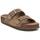 Schuhe Damen Sandalen / Sandaletten Xti 14255206 Braun
