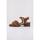 Schuhe Damen Sandalen / Sandaletten Clarks SERINA35 CROSS Braun