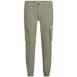 Kleidung Herren Hosen Calvin Klein Jeans J30J327614 Grün