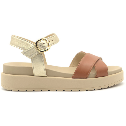 Schuhe Damen Sandalen / Sandaletten NeroGiardini Sandalo platform in pelle Braun
