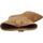 Schuhe Damen Stiefel Alpe 5355 11 Braun