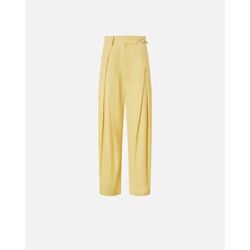 Kleidung Damen Hosen Pinko RICORDI 104648 A2ER-C43 Gelb