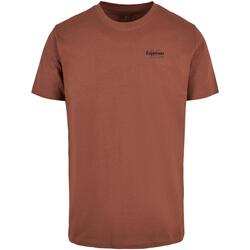 Kleidung Herren T-Shirts Mister Tee T-shirt  Espresso M Club Braun