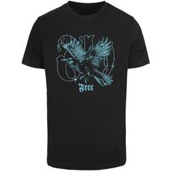 Kleidung Herren T-Shirts Mister Tee T-shirt  Flying Free Schwarz