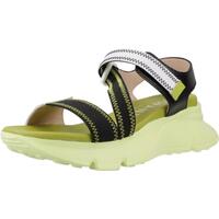 Schuhe Damen Sandalen / Sandaletten Hispanitas JAMAICA Schwarz