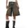 Kleidung Damen Hosen Dickies CARPENTER DENIM JORT Blau