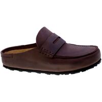 Schuhe Herren Sandalen / Sandaletten BIRKENSTOCK 145613 Braun