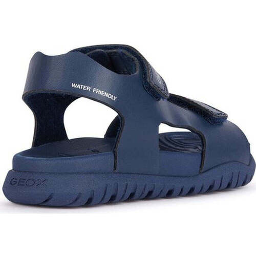 Geox  Blau