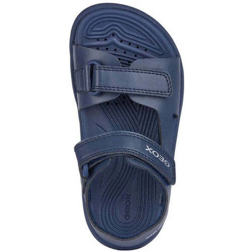 Geox  Blau