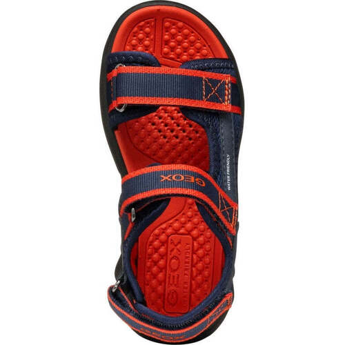 Geox  Blau