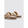 Schuhe Damen Sandalen / Sandaletten Limma PRATI Beige