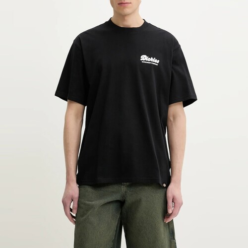 Kleidung Herren T-Shirts & Poloshirts Dickies  Schwarz