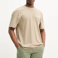 Kleidung Herren T-Shirts & Poloshirts Dickies  Beige