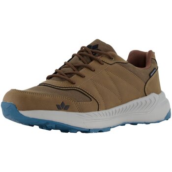 Schuhe Herren Derby-Schuhe & Richelieu Lico Schnuerschuhe Howard 540606 Braun