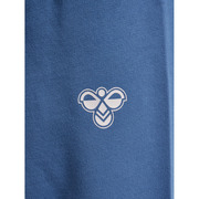 Hose Hummel 