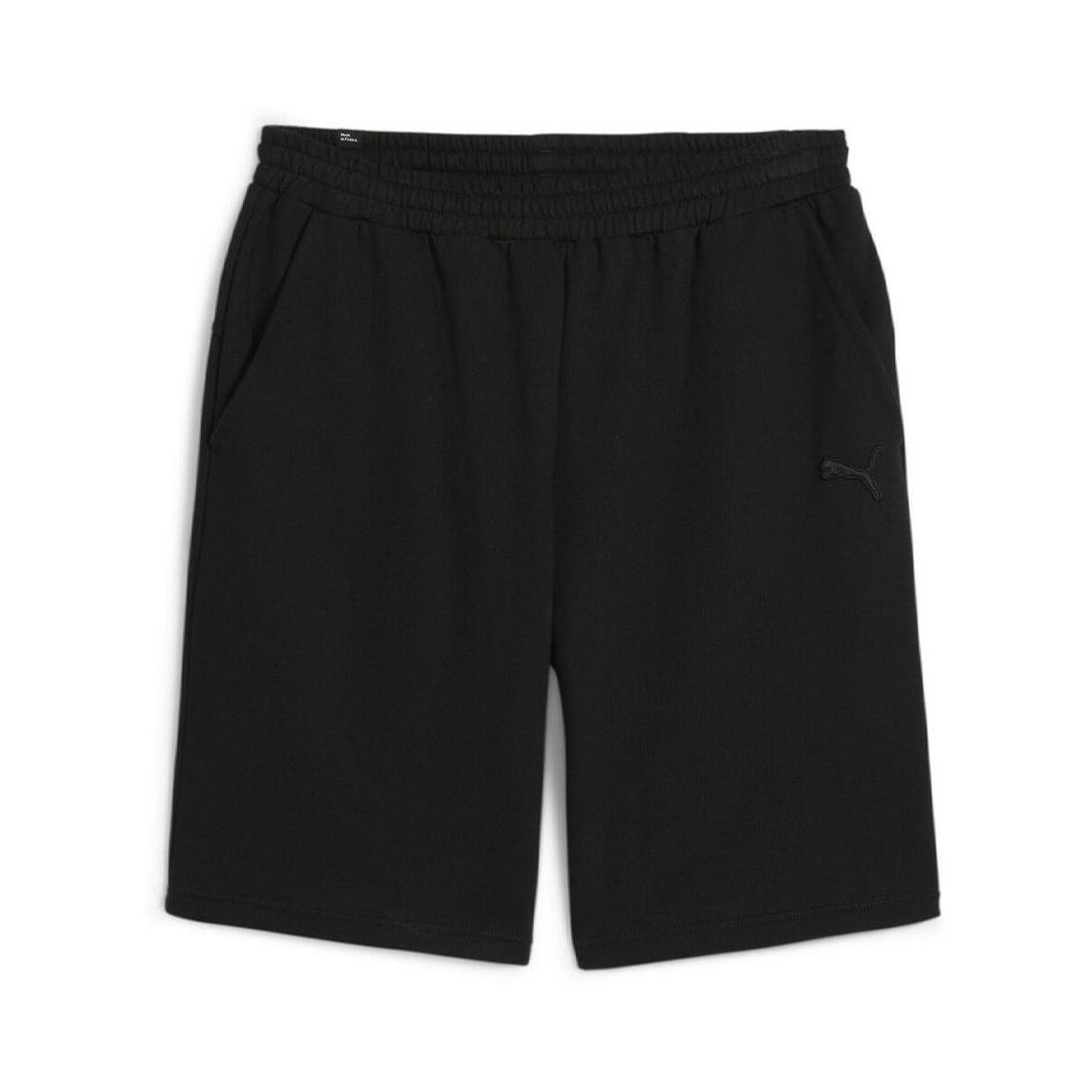 Kleidung Herren Shorts / Bermudas Puma 679992-01 Schwarz