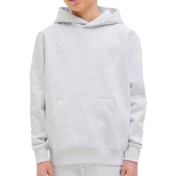 Kleidung Jungen Sweatshirts Jack & Jones 12274853-WMG Grau