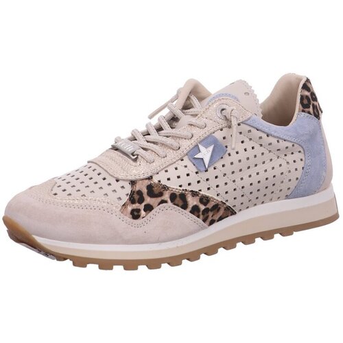 Schuhe Damen Derby-Schuhe & Richelieu Cetti Schnuerschuhe C848 SRA ANTE leo sahara Beige