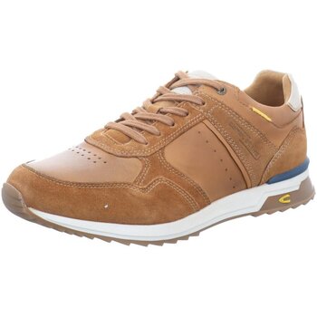 Schuhe Herren Derby-Schuhe & Richelieu Camel Active Schnuerschuhe tan-white (mittel) 54ALA01-201445 Alley Braun