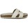 Schuhe Damen Sandalen / Sandaletten Zapp SCHUHE  SUCURU Beige