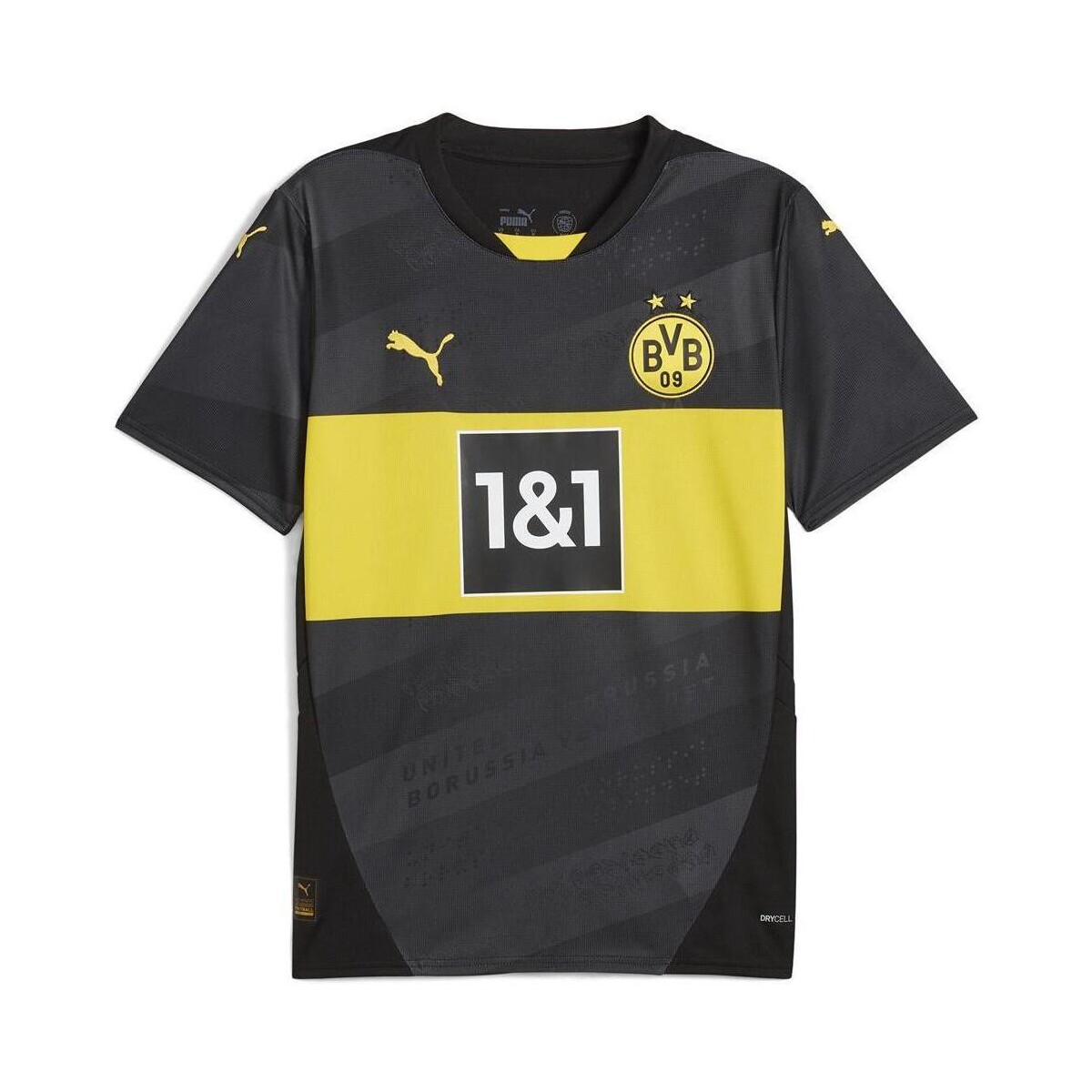 Kleidung Herren T-Shirts & Poloshirts Puma 774956-02 Schwarz