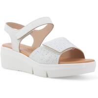 Schuhe Damen Sandalen / Sandaletten Melluso R80439-244125 Schwarz