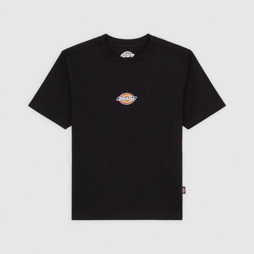 Kleidung Damen T-Shirts & Poloshirts Dickies MAPLE VALLEY REG TEE Schwarz