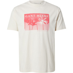 Kleidung Herren T-Shirts Gant T-shirt  Graphic Beige