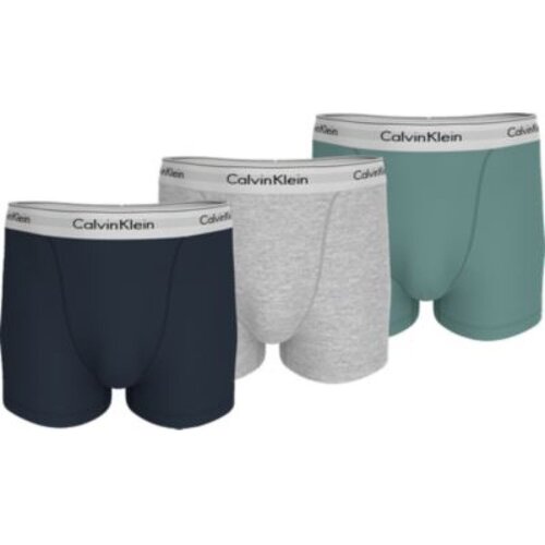 Unterwäsche Herren Boxer Calvin Klein Jeans LV00NB4286 Multicolor