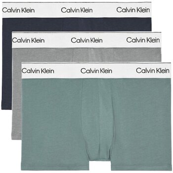 Unterwäsche Herren Boxer Calvin Klein Jeans LV00NB4392 Multicolor
