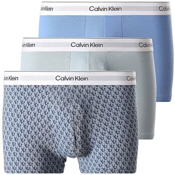 Unterwäsche Herren Boxer Calvin Klein Jeans LV00NB4392 Blau