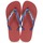 Schuhe Zehensandalen Havaianas BRASIL LOGO Marine / Rot