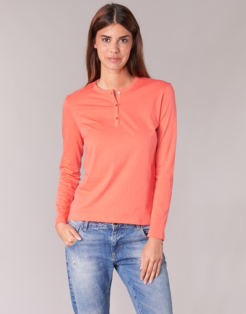 BOTD EBISCOL Orange